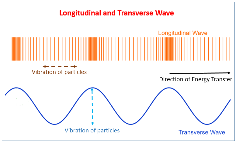 Longitudinal and Transverse Waves